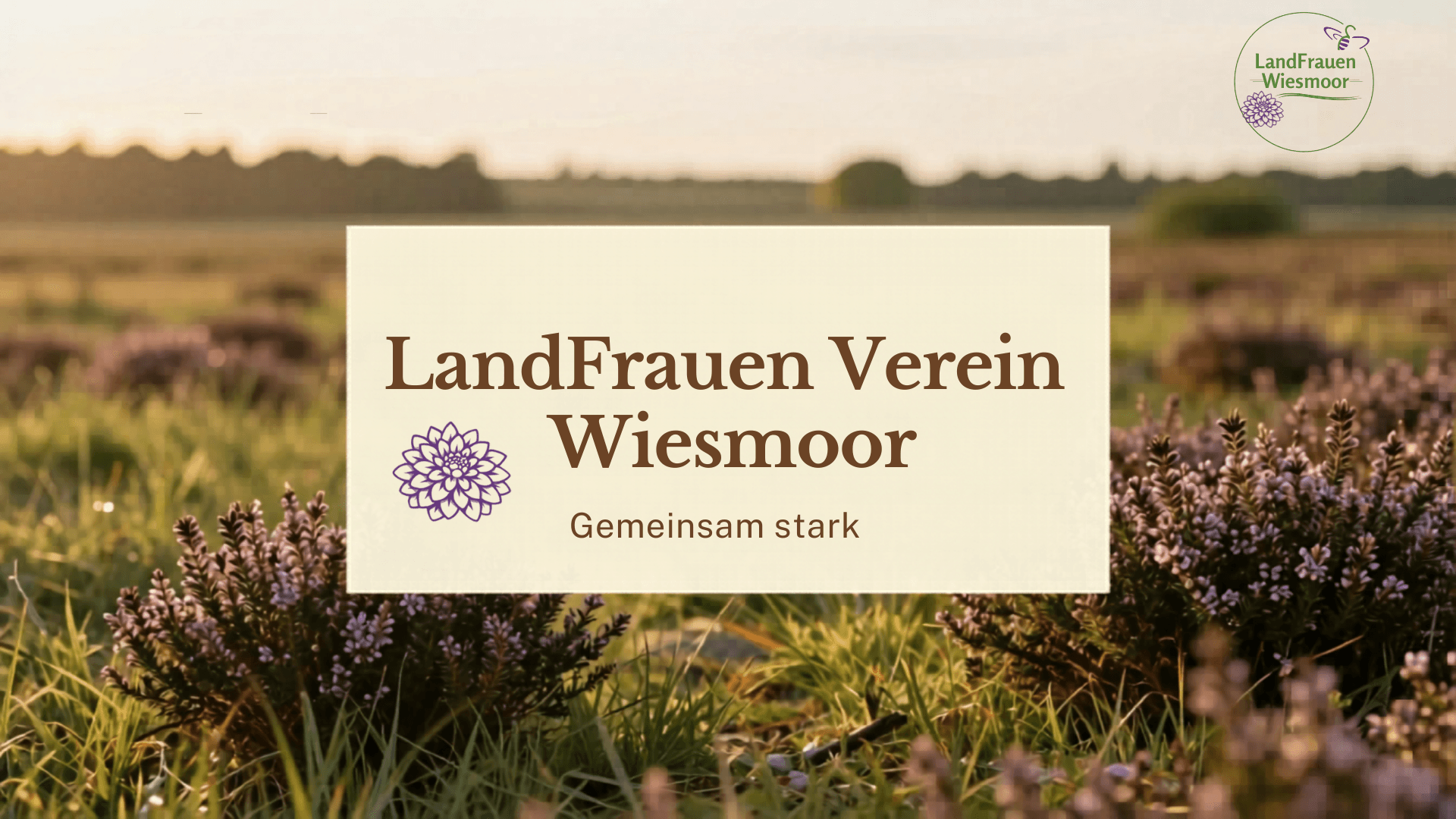 Startbildschirm